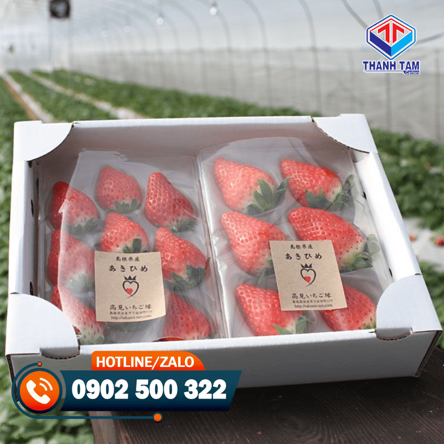 hộp carton đựng dâu tây