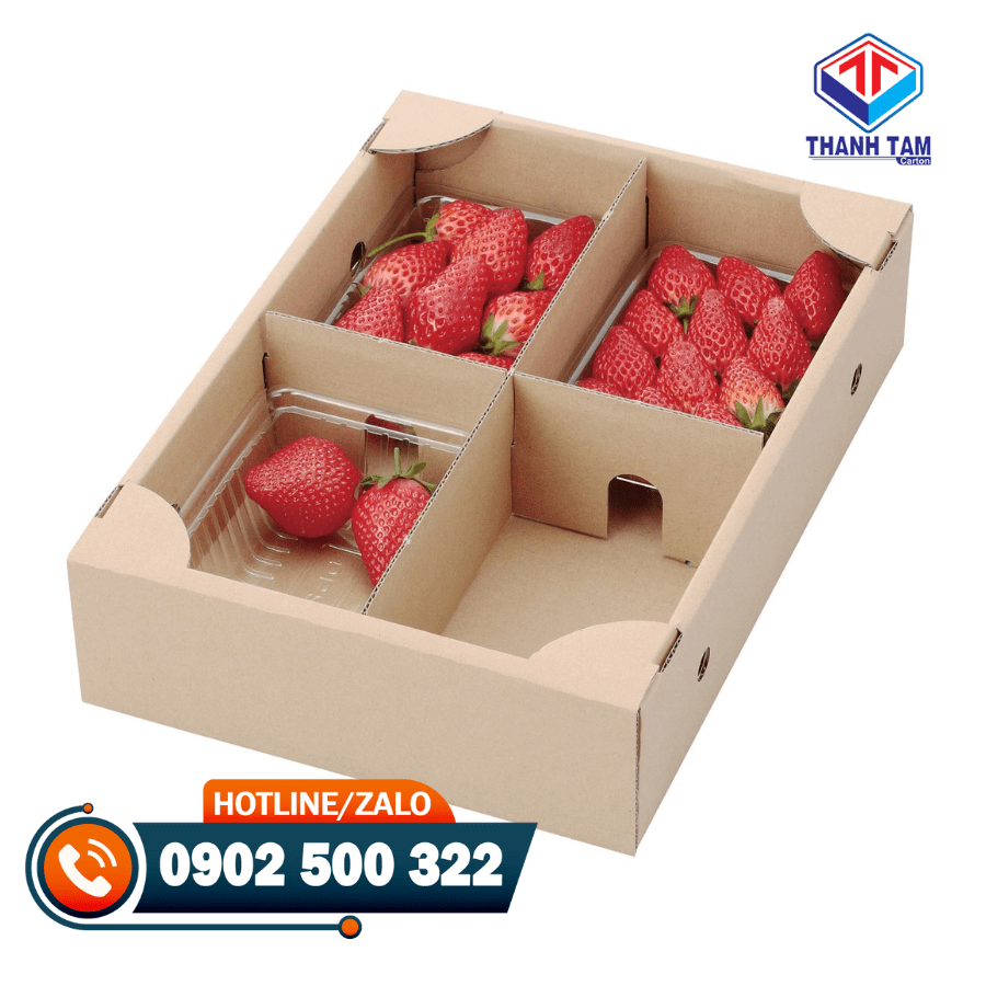hộp carton đựng dâu tây