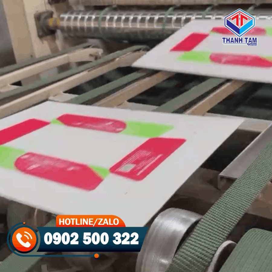 khay giấy đựng quà tết