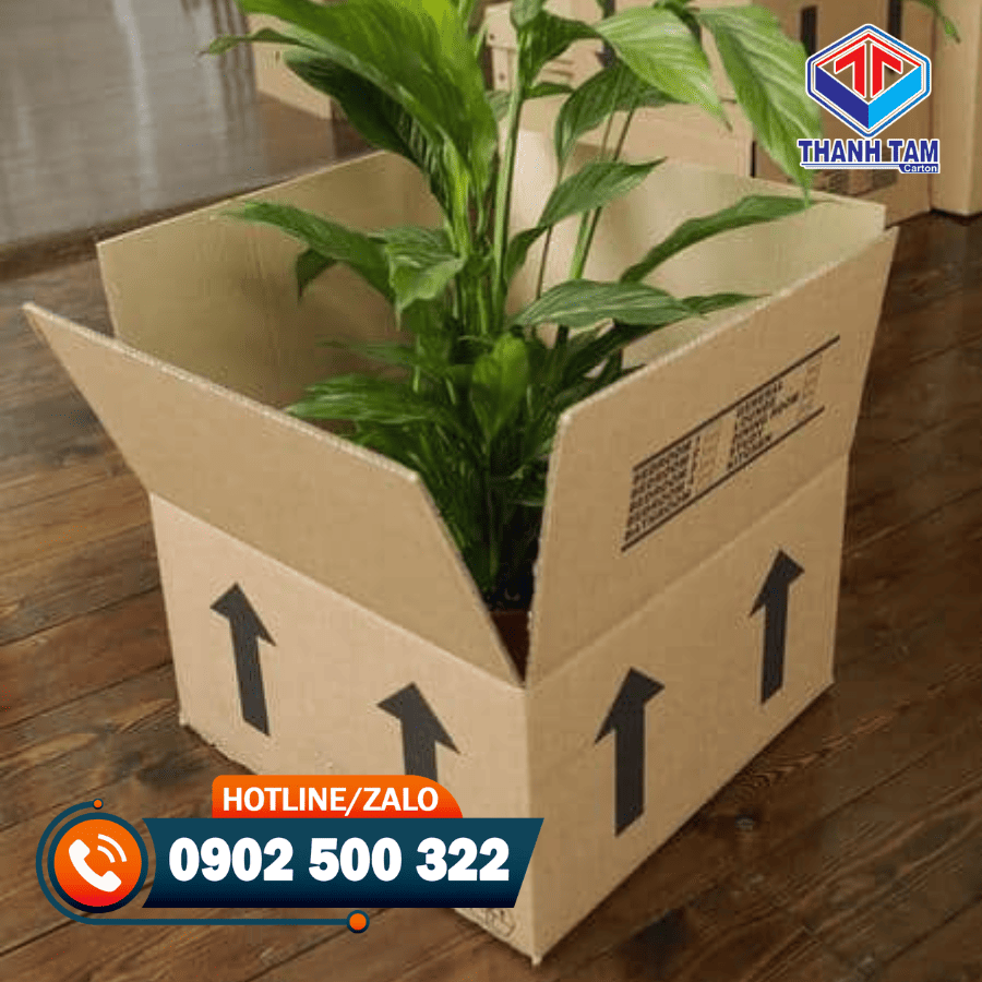 thùng carton đựng hoa tươi