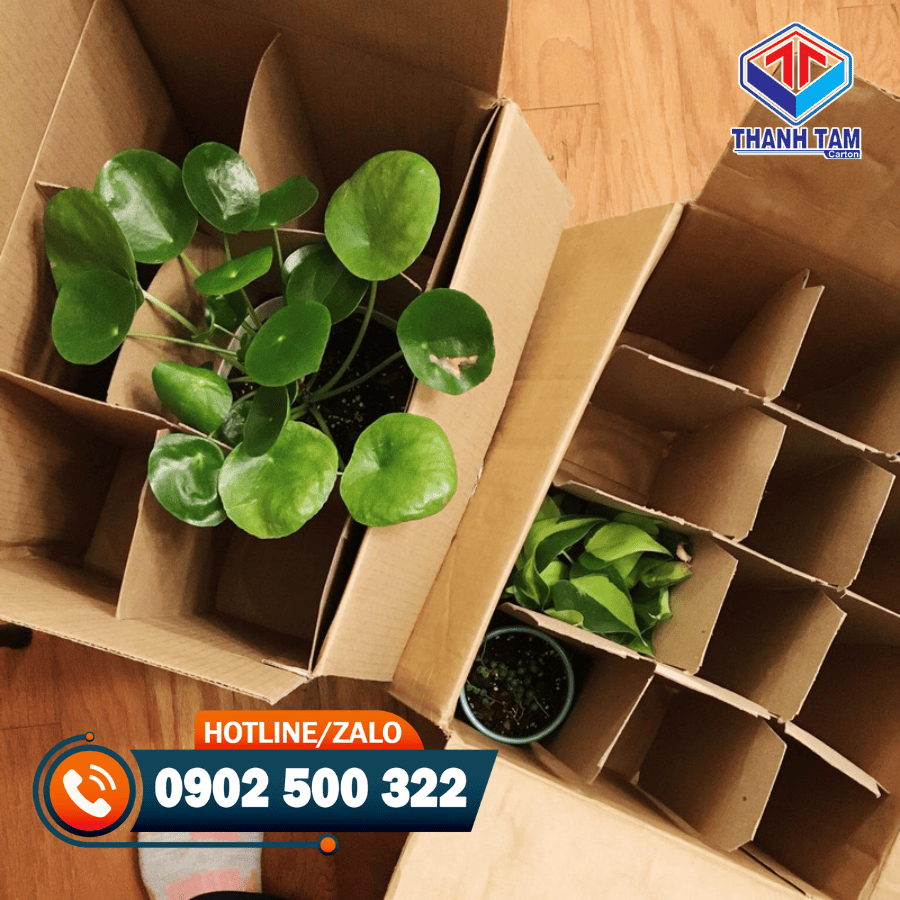 thùng carton đựng hoa tươi