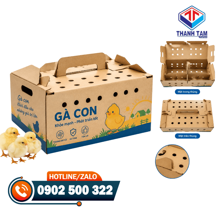 thùng carton đựng gà con